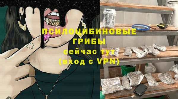 прущие грибы Михайлов