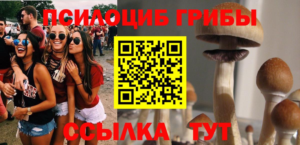 Галлюциногенные грибы Psilocybine cubensis  Вход с VPN  Якутск 