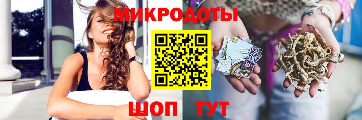 Псилоцибиновые грибы Psilocybine cubensis Якутск